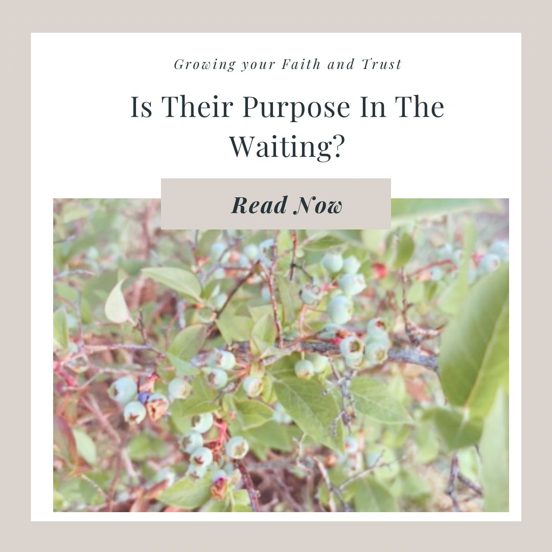 Is There Purpose in the Waiting?