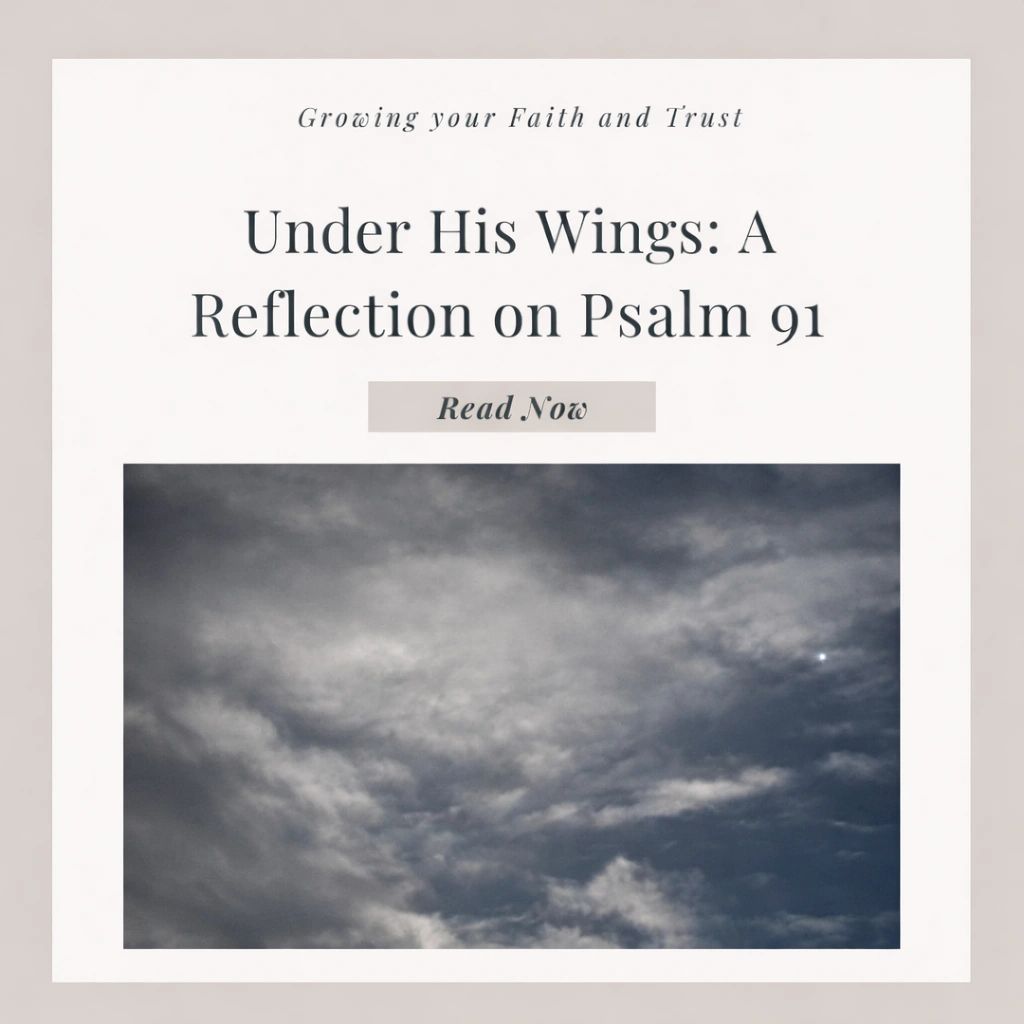 Under His Wings: A Reflection on Psalm 91