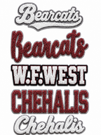 Youth Pick Your Team Chenille Patch Hoodie