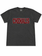 Bearcats Pick Your Patch Chenille Patch Comfort Colors® Tee