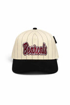 C.C. Bearcats Pinstripe Snapback Hat